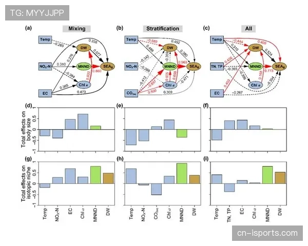杜埃的战术适配瓶颈与潜力兑现路径分析