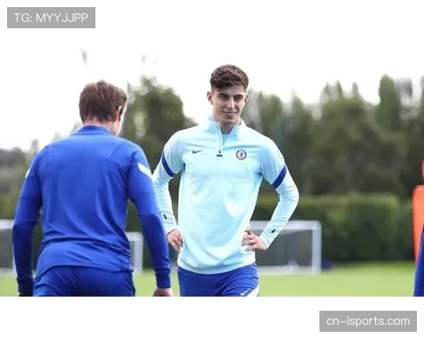 帕尔默与哈弗茨的组织能力差异及其战术适配性解析